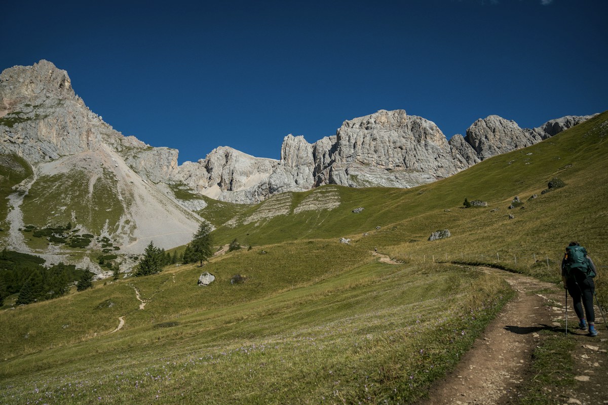 Sentiero alpino tra prati e pareti rocciose